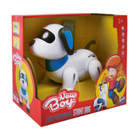 NewBoy Voice Programming Stunt Dog
