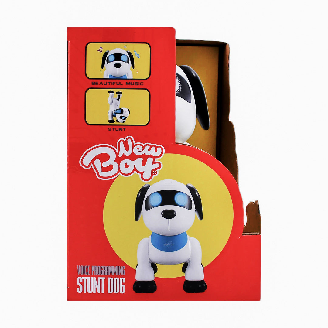 NewBoy Voice Programming Stunt Dog