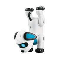 NewBoy Voice Programming Stunt Dog