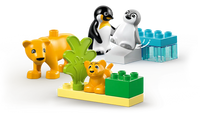 LEGO 10442 Wild Animal Families Penguins & Lions