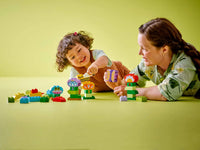 LEGO 10444 Creative Garden & Flowers