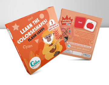 Gibo Flash Card Learn The Colors And Shapes