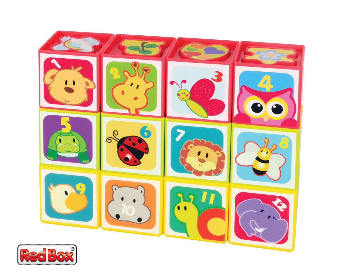 12Pc Shape Sorting Puzzle Blocks