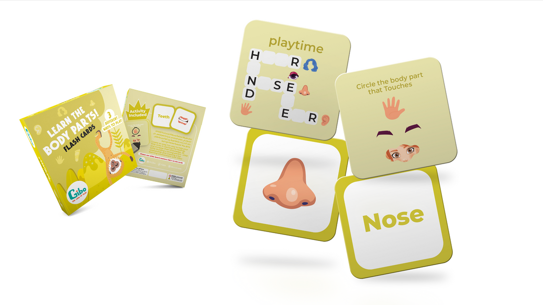 Gibo flash card learn the body parts