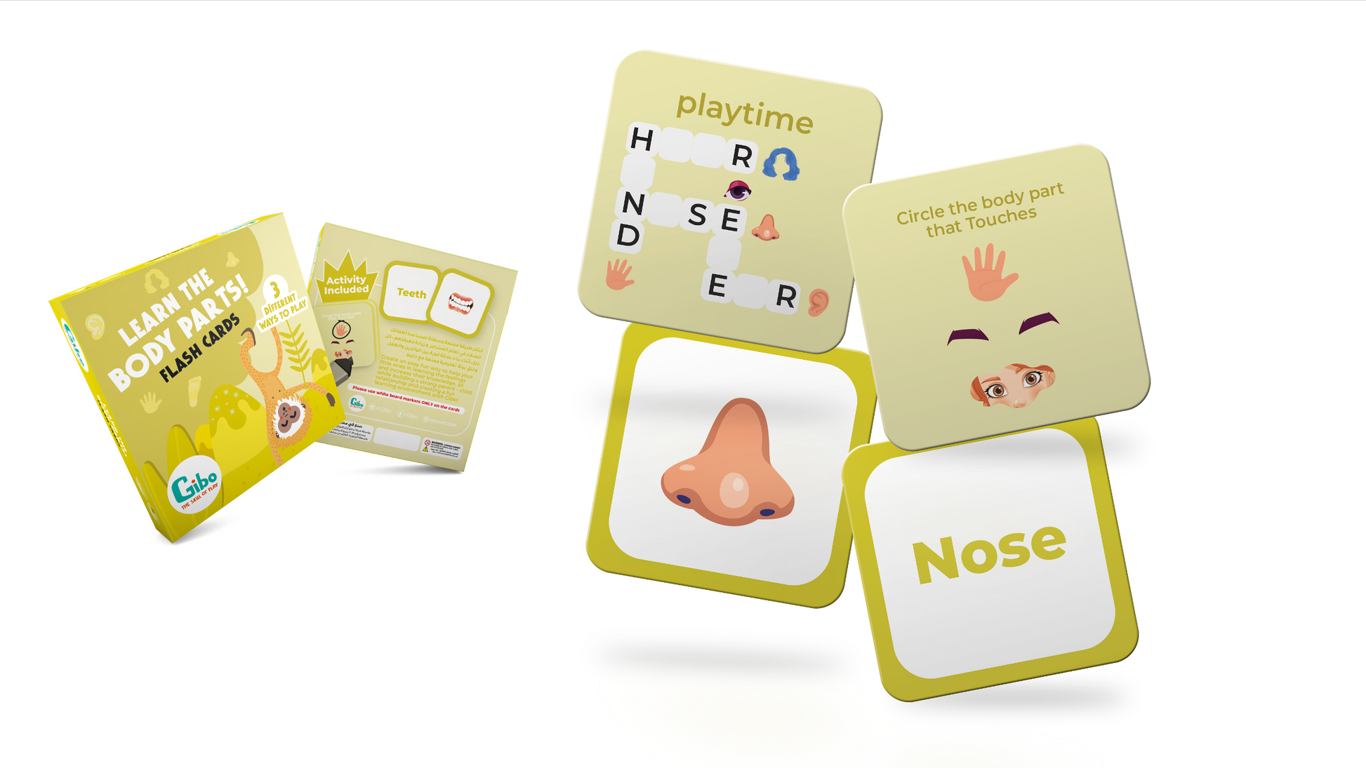 Gibo flash card learn the body parts