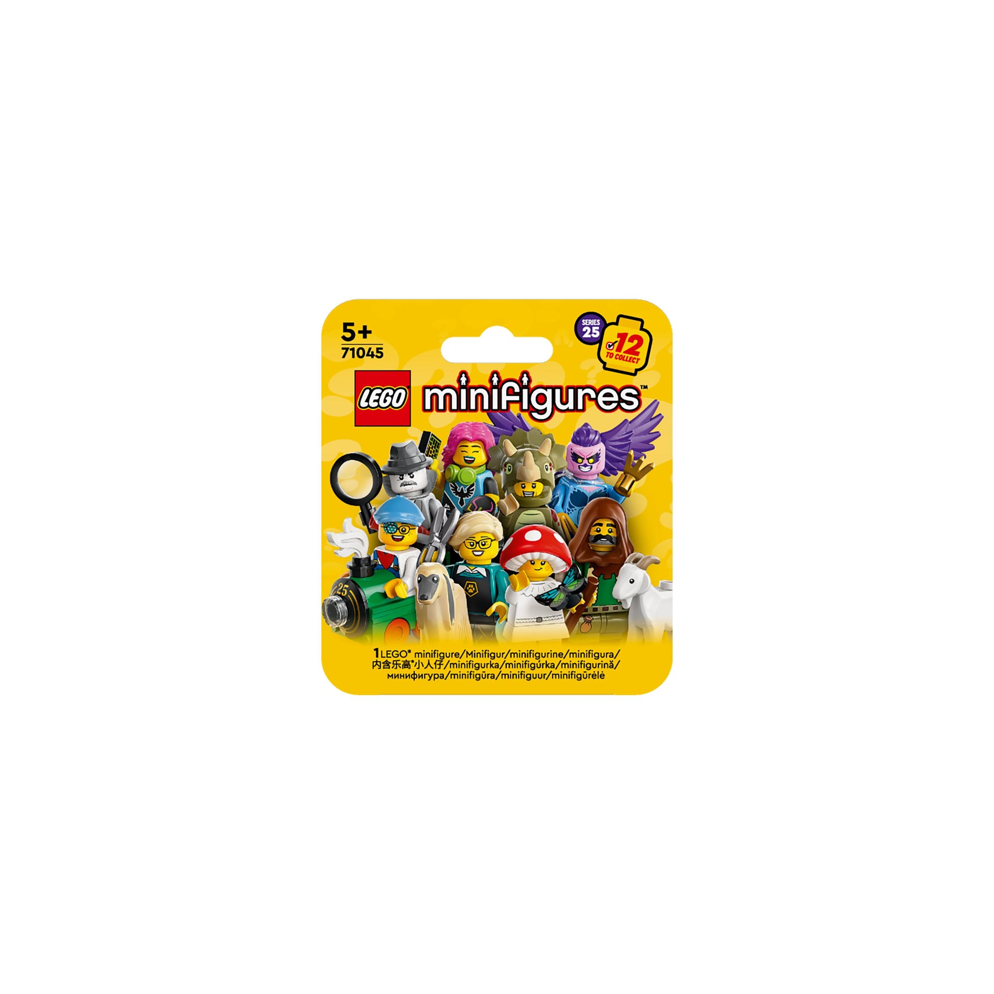 LEGO® Minifigures Series 25 Collectible Figures 71045