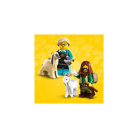 LEGO® Minifigures Series 25 Collectible Figures 71045