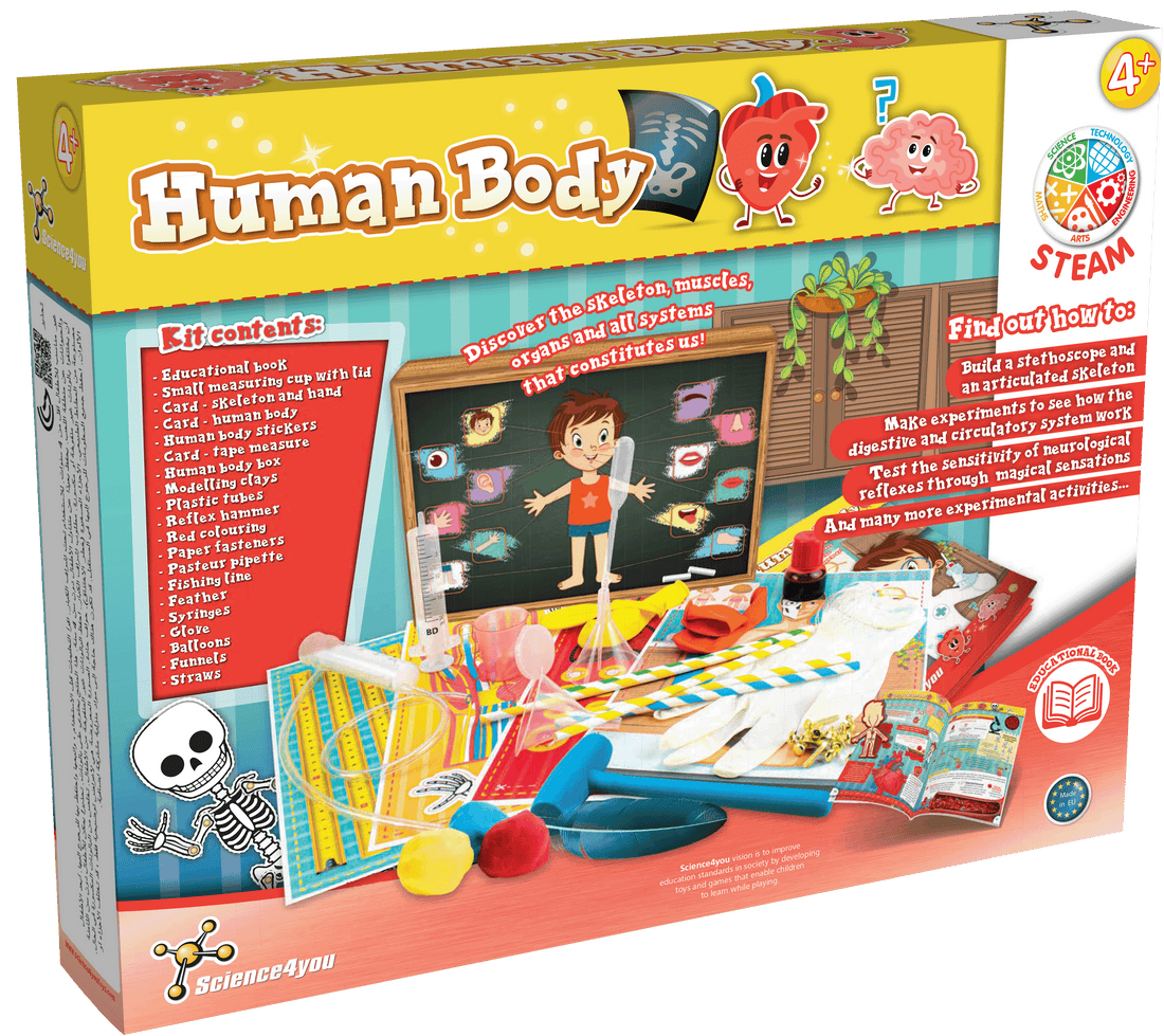 Human Body