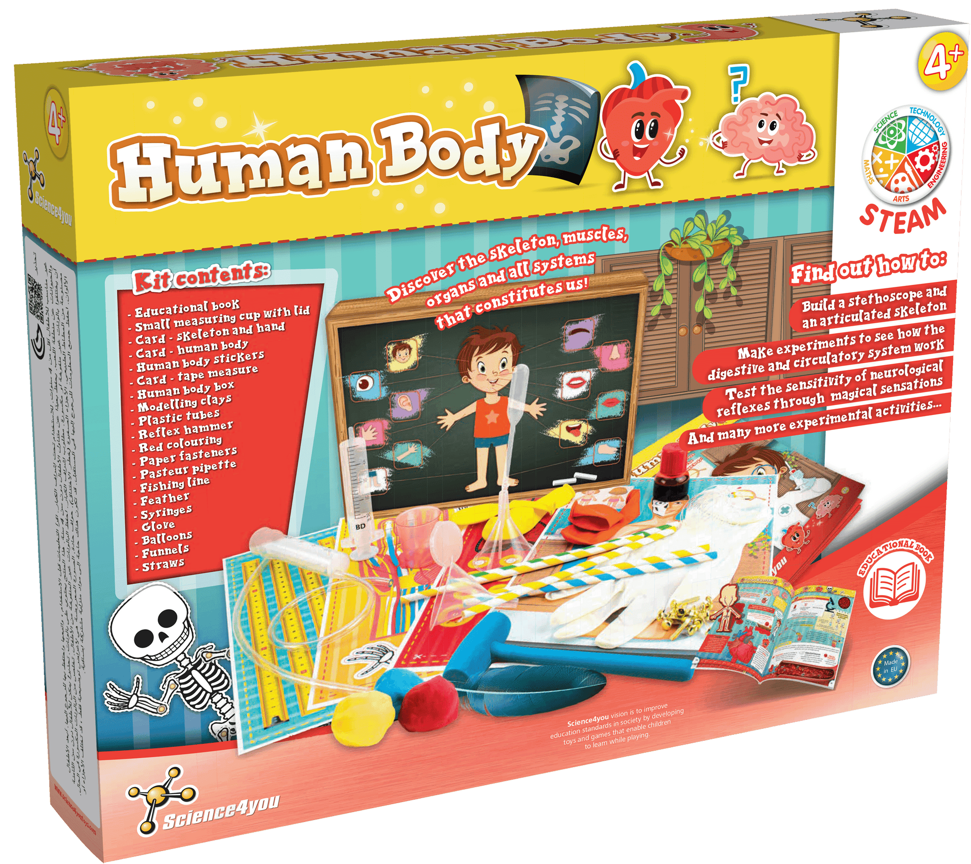 Human Body