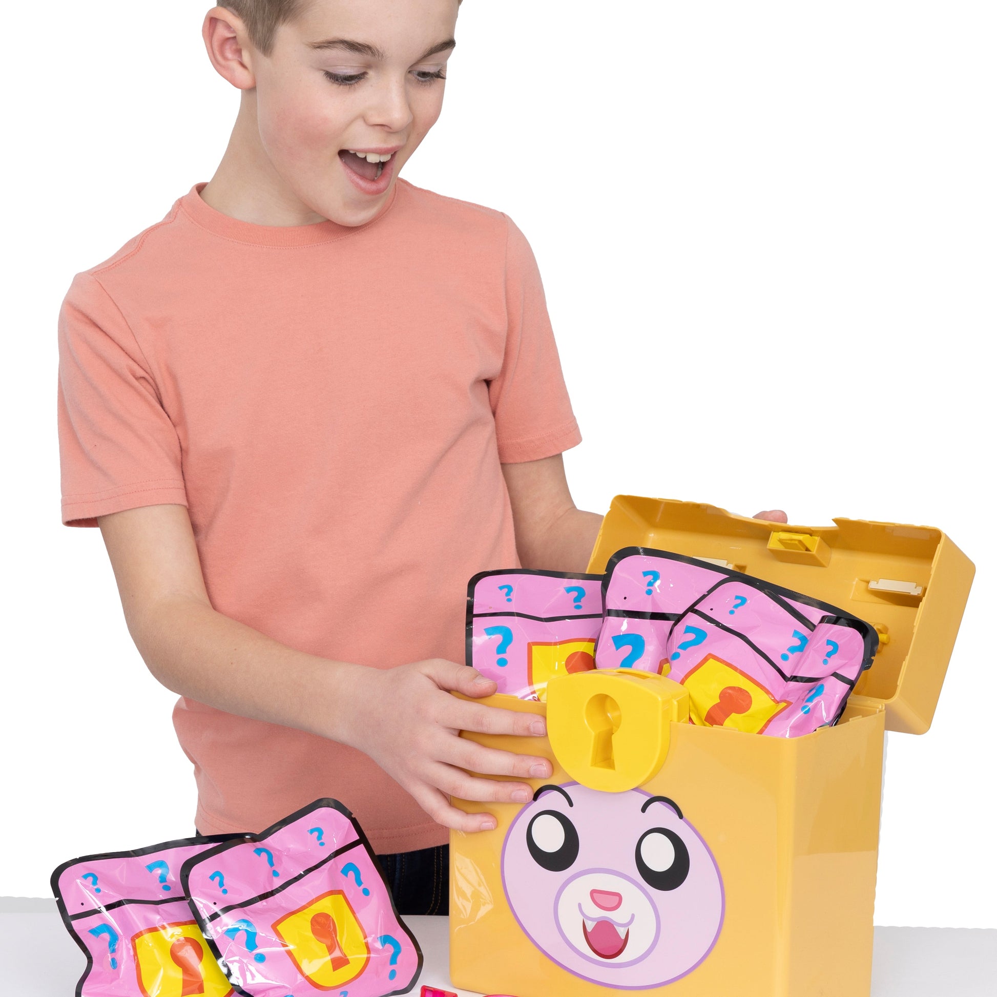 LankyBox Mystery Foxy Lock Box