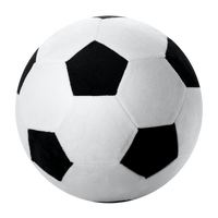 L.BIGGIE BOUNCERZ Football-22CM