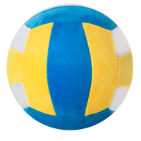 L.BIGGIE BOUNCERZ VOLLEYBALL