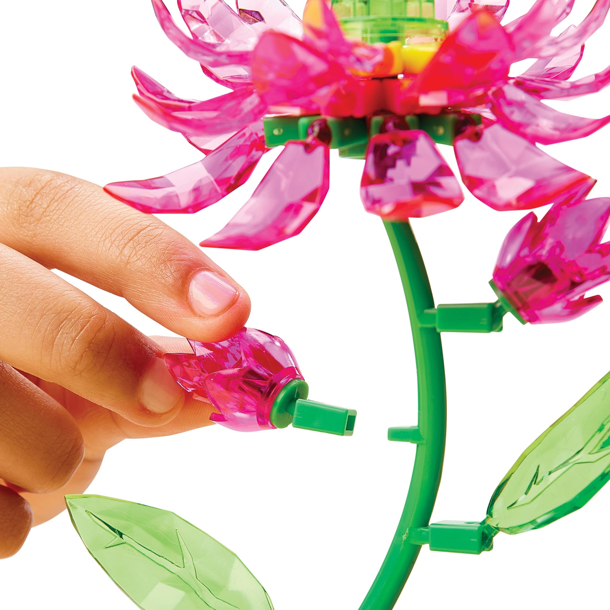 Rose Art Single Lotus Bouquet