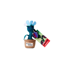 Plantz 4.5inch assorted S1