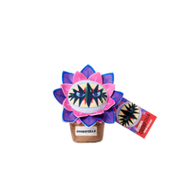 Plantz 4.5inch assorted S1