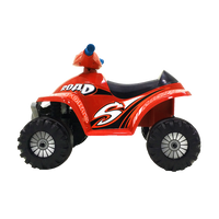 Rollplay Atv Mini Quad, 6V