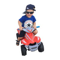 Rollplay Atv Mini Quad, 6V