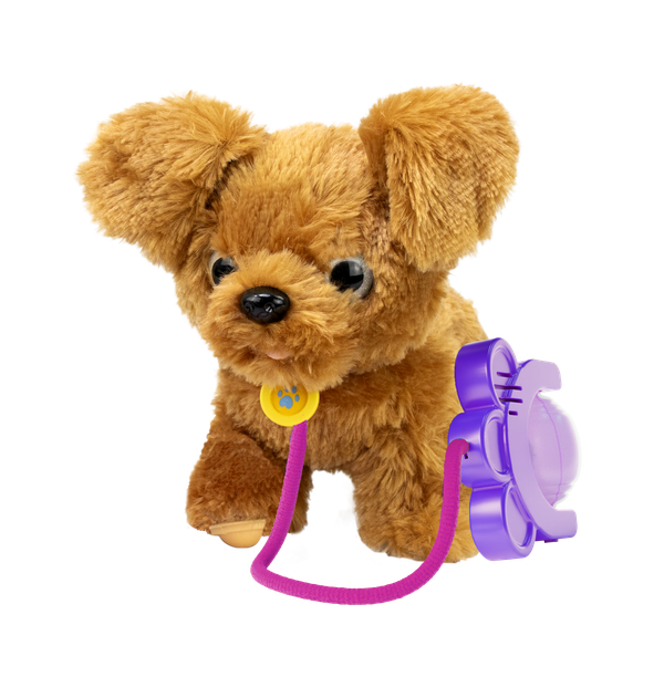 SPRINT PUPPY -  GOLDEN DOODLE