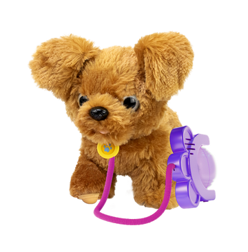 SPRINT PUPPY -  GOLDEN DOODLE